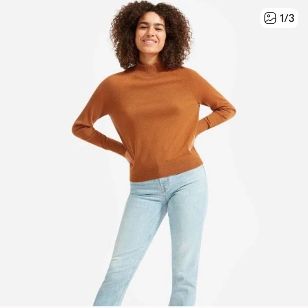 Everlane 100% Cashmere Raglan Mockneck Sweater in Cider